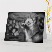 Black and White Alsatian Dog Photo Kaart (Gele Bloem)