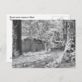 Black and White Backlit Rural Snow Scene Briefkaart (Voorkant / Achterkant)