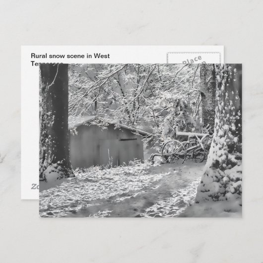 Black and White Backlit Rural Snow Scene Briefkaart (Voorkant / Achterkant)