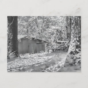 Black and White Backlit Rural Snow Scene Briefkaart