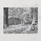Black and White Backlit Rural Snow Scene Briefkaart (Voorkant)