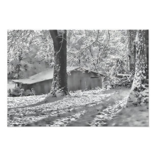 Black and White Backlit Rural Snow Scene Foto Afdruk