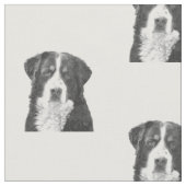 Black and White Bernese Mountain Dog Stof (Close Up)