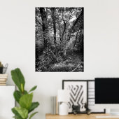 black and white birch forest poster (Thuiskantoor)