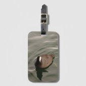 Black-and-White Bird American Coot Bagagelabel (Voorkant (verticaal))