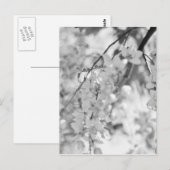 Black and White Blossom Branch Briefkaart (Voorkant / Achterkant)