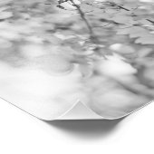 Black and White Blossom Branch Foto Afdruk (Hoek)