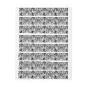 Black and White Blue Eyes Tiger Graphic (Vel)