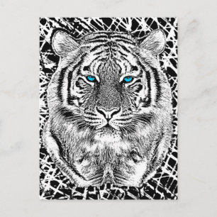 Black and White Blue Eyes Tiger Graphic Briefkaart