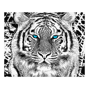 Black and White Blue Eyes Tiger Graphic Foto Afdruk