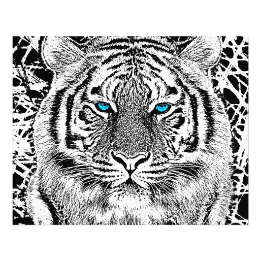 Black and White Blue Eyes Tiger Graphic Foto Afdruk (Voorkant)