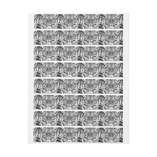 Black and White Blue Eyes Tiger Graphic Omwikkelbaar Adreslabel (Vel)