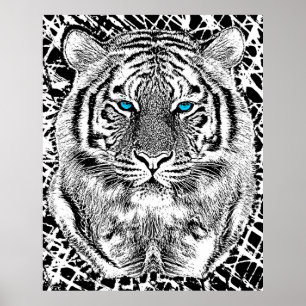 Black and White Blue Eyes Tiger Graphic Poster