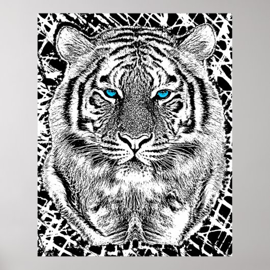 Black and White Blue Eyes Tiger Graphic Poster (Voorkant)