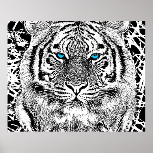 Black and White Blue Eyes Tiger Graphic Poster (Voorkant)