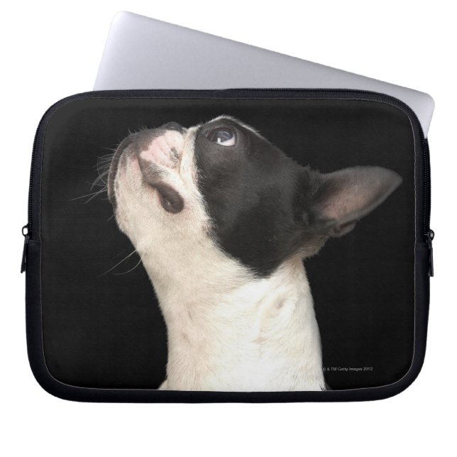 Black and white Boston Terrier kijkt op Laptop Sleeve (Voorkant)