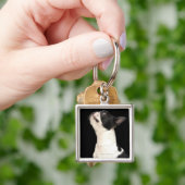 Black and white Boston Terrier kijkt op Sleutelhanger (Hand)