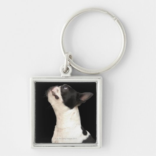 Black and white Boston Terrier kijkt op Sleutelhanger (Voorkant)