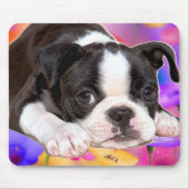 Black and White Boston Terrier Mousepad Muismat (Voorkant)