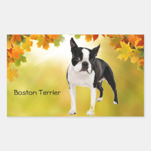 Black and White Boston Terrier Rechthoekige Sticker
