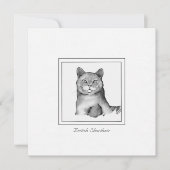 Black and White British Shorthair Cat Drawing Notitiekaartje (Voorkant)