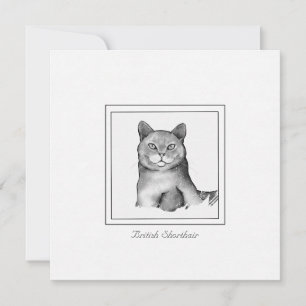 Black and White British Shorthair Cat Drawing Notitiekaartje