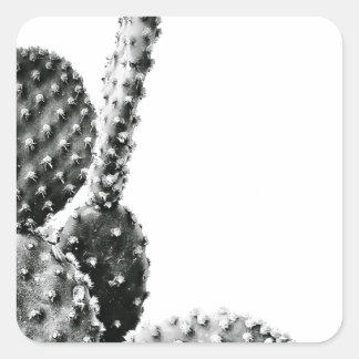 Black and White Cactus Zwart en Wit Vierkante Sticker