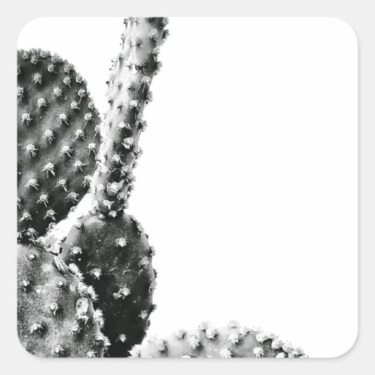 Black and White Cactus Zwart en Wit Vierkante Sticker (Voorkant)