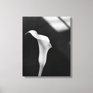 Black and White Calla Lily Canvas Afdruk