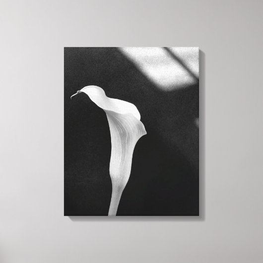 Black and White Calla Lily Canvas Afdruk (Voorkant)