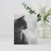 Black and White, Cat in Profile. Briefkaart (Staand voorkant)