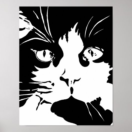 Black and white cat poster (Voorkant)