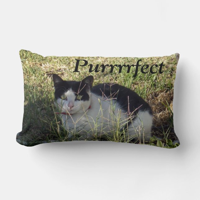 Black And White Cat Purrrrfect, Kussen (Voorkant)