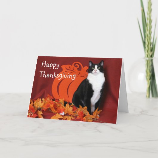 Black and White Cat zegt Happy Thanksgiving Kaart (Voorkant)