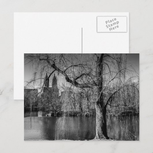 Black and White Central Park New York Landscape Briefkaart (Voorkant / Achterkant)