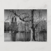 Black and White Central Park New York Landscape Briefkaart (Voorkant)