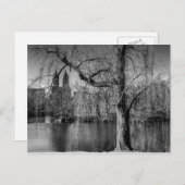 Black and White Central Park New York Landscape Briefkaart (Voorkant / Achterkant)