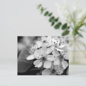 Black and White Cherry Blossom Briefkaart (Staand voorkant)