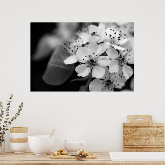 Black and White Cherry Blossom Poster (Keuken)