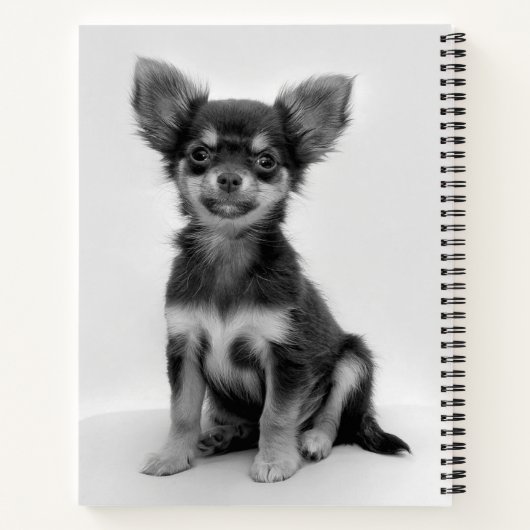 Black and White Chihuahua Puppy Photo Notitieboek (Achterkant)