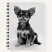 Black and White Chihuahua Puppy Photo Notitieboek (Voorkant)