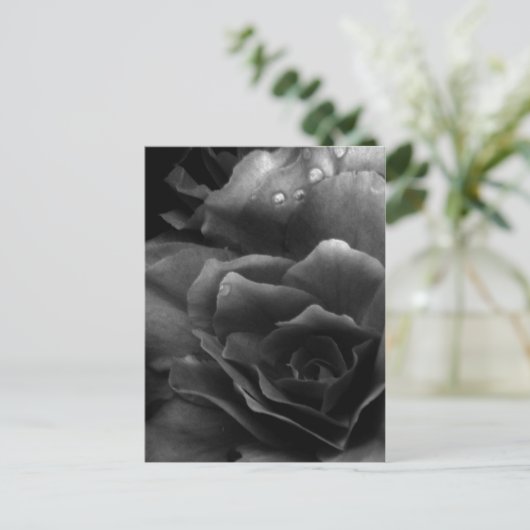 Black and White Close Up of a Double Begonia Briefkaart (Staand voorkant)