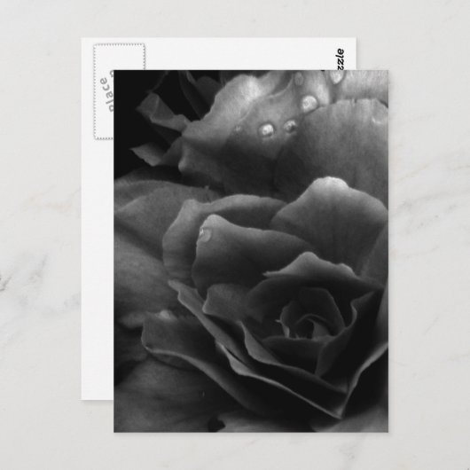 Black and White Close Up of a Double Begonia Briefkaart (Voorkant / Achterkant)