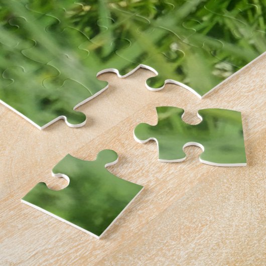 Black and White Collie in Grass Legpuzzel (Zijkant)