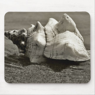 Black and White Conch Shell Muismat