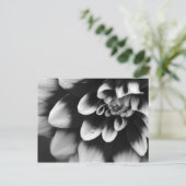 Black and White Dahlia Blossom Briefkaart (Staand voorkant)