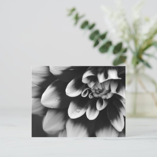 Black and White Dahlia Blossom Briefkaart (Staand voorkant)