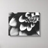 Black and White Dahlia Flower Blossom Canvas Afdruk (Voorkant)