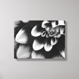 Black and White Dahlia Flower Blossom Canvas Afdruk