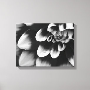 Black and White Dahlia Flower Blossom Canvas Afdruk